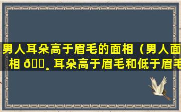 男人耳朵高于眉毛的面相（男人面相 🕸 耳朵高于眉毛和低于眉毛）